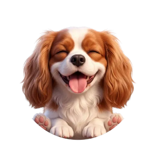 Perro