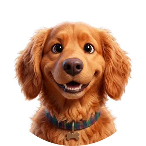 Perro
