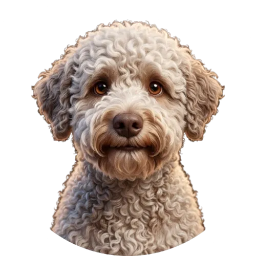 Avatar de Ralf