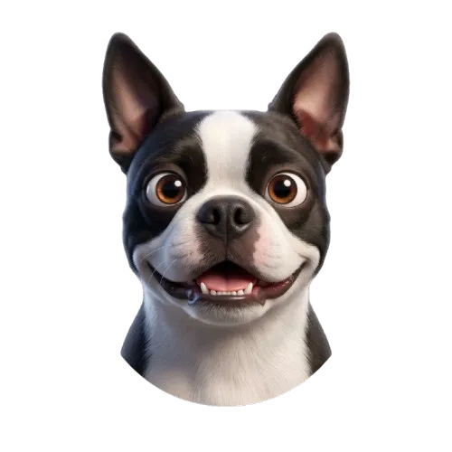 Perro