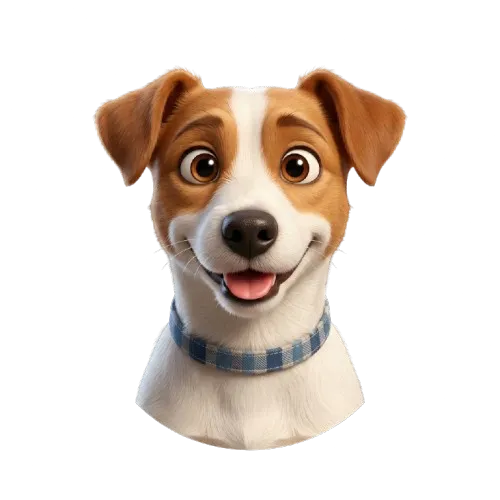 Perro