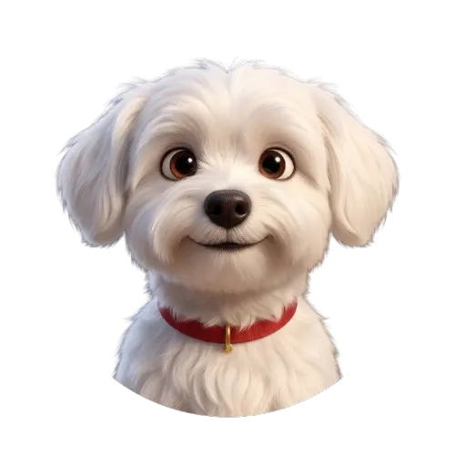 Perro